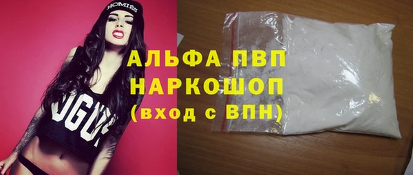 индика Каменногорск