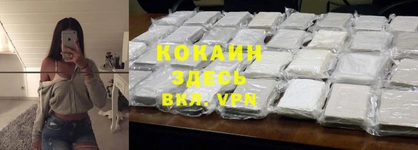 индика Каменногорск