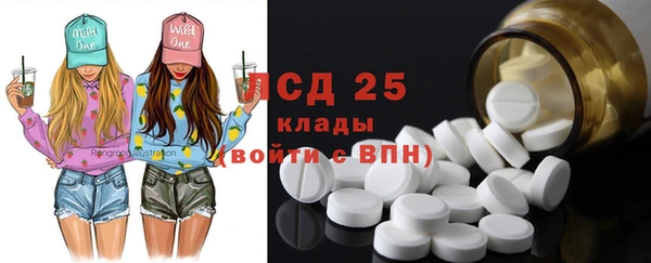 индика Каменногорск