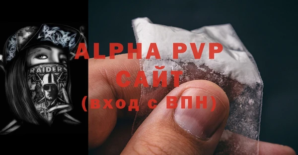 индика Каменногорск
