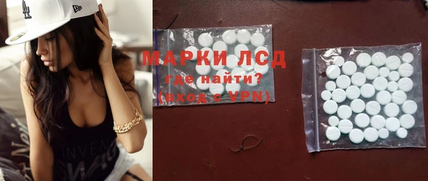 индика Каменногорск