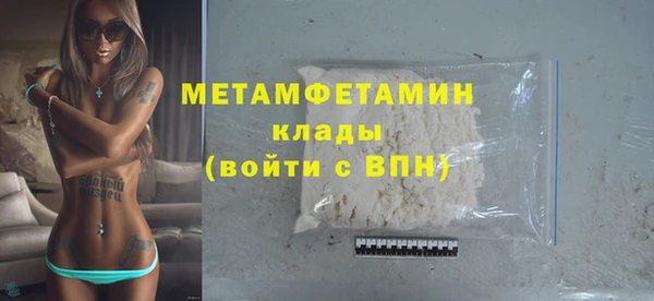 индика Каменногорск