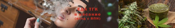 индика Каменногорск
