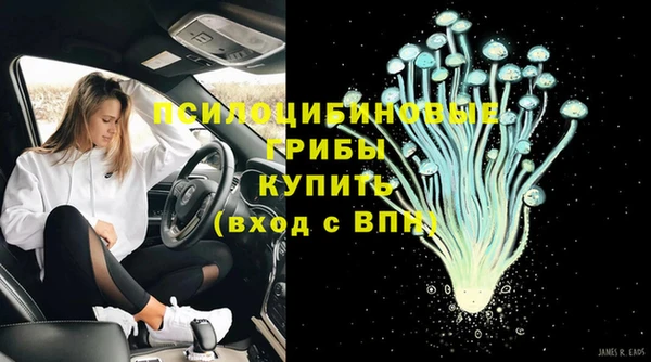 не бодяженный Каменка