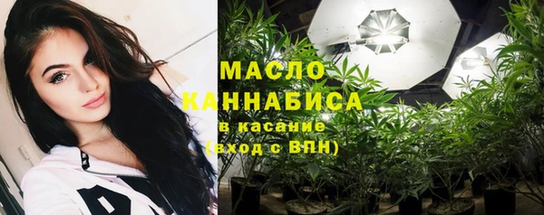 индика Каменногорск