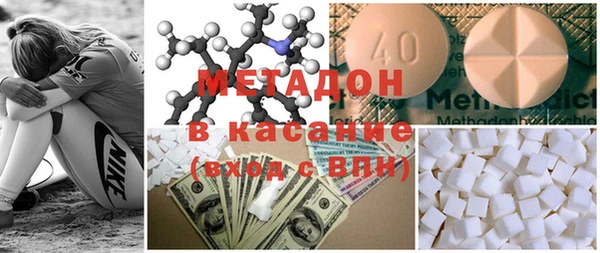 индика Каменногорск