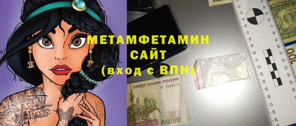 индика Каменногорск