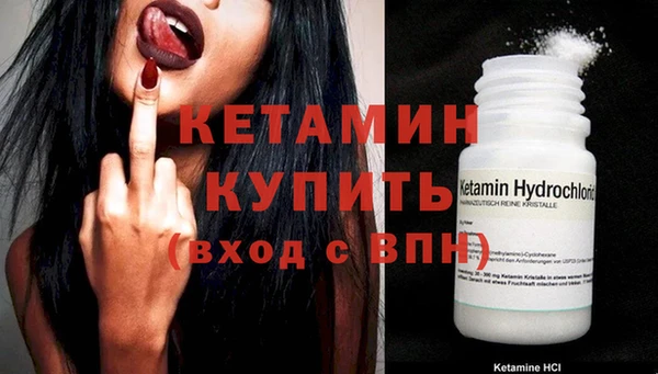 индика Каменногорск