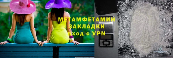 индика Каменногорск