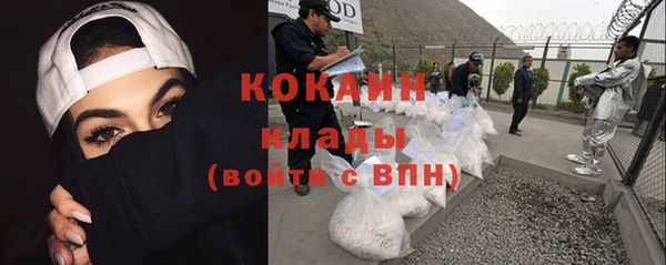 индика Каменногорск