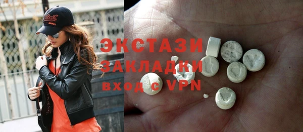 индика Каменногорск