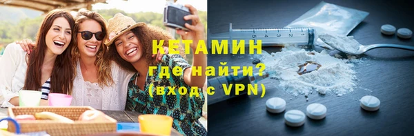 индика Каменногорск