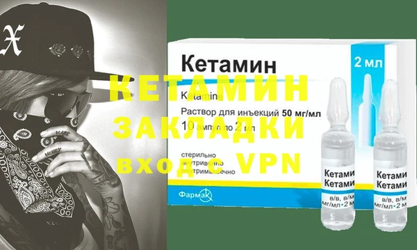 индика Каменногорск