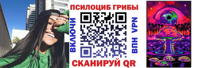 Купить где  Троицк  Псилоцибиновые грибы Cubensis 